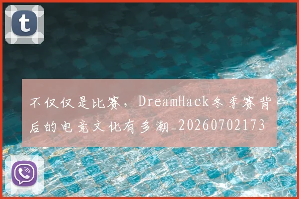 不仅仅是比赛，DreamHack冬季赛背后的电竞文化有多潮_20260702173246