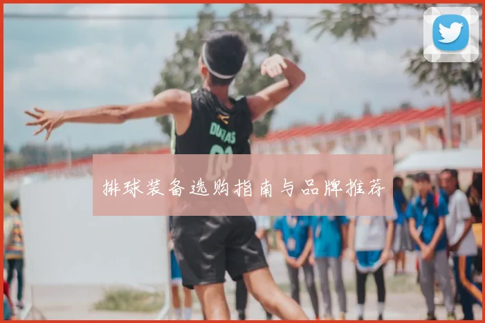 排球装备选购指南与品牌推荐
