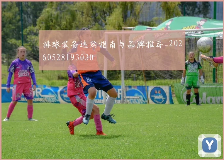 排球装备选购指南与品牌推荐_20260528193030